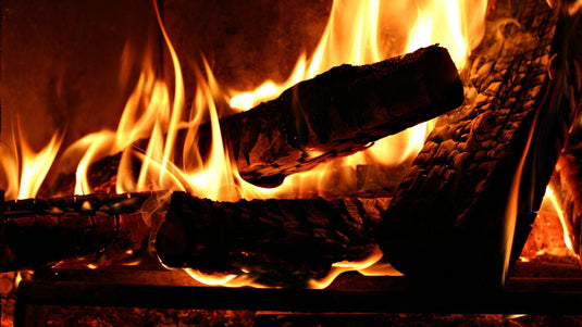 Into the Warmth: Essential Tips for Buying a Wood-Burning Stove